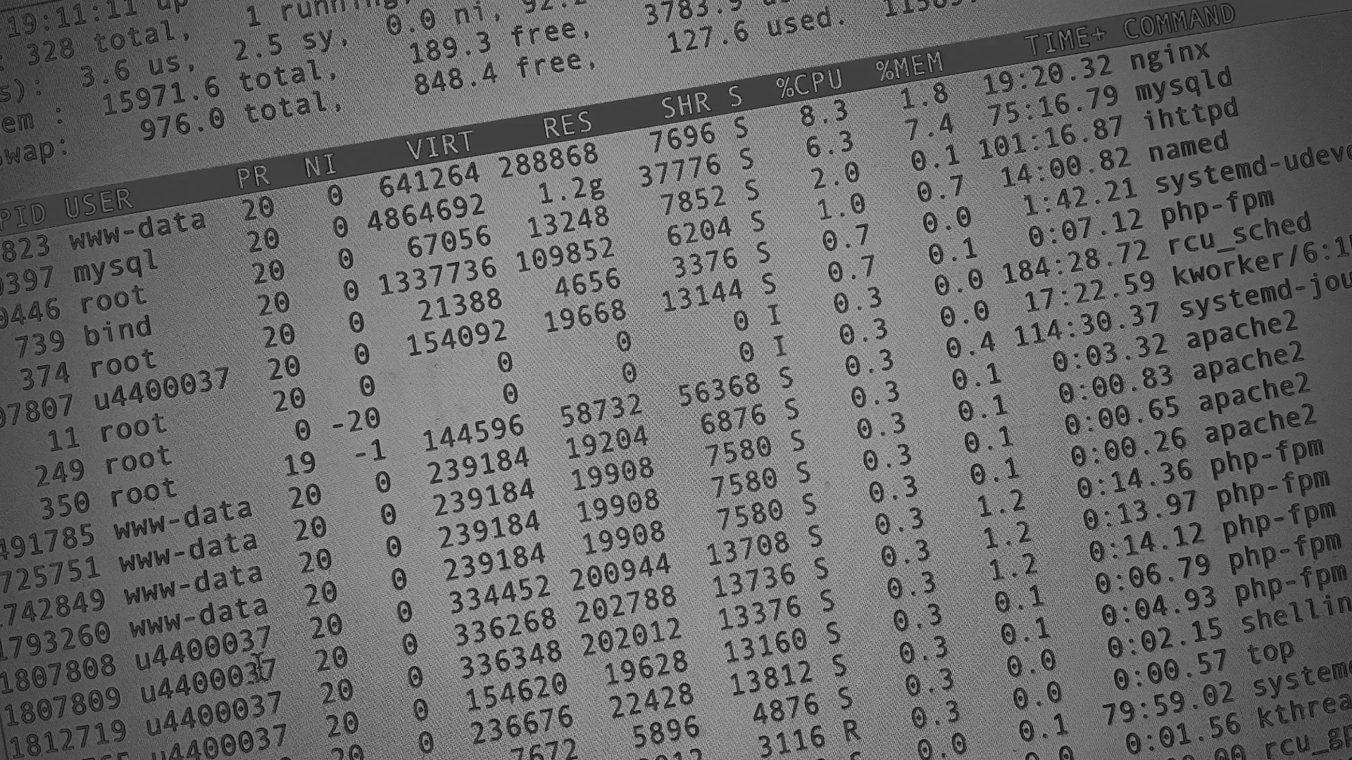 Настройка сервера в Гвардейске Настройка сервера в Гвардейске