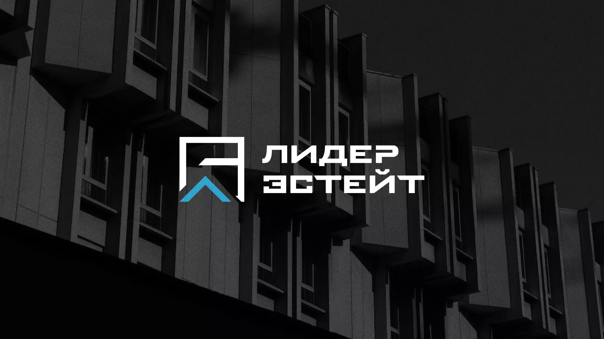 Разработка логотипа агентства недвижимости «Лидер Эстейт» в Гвардейске